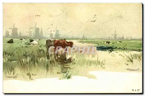 Cartes postales Fantaisie Illustrateur Zaandam Vaches