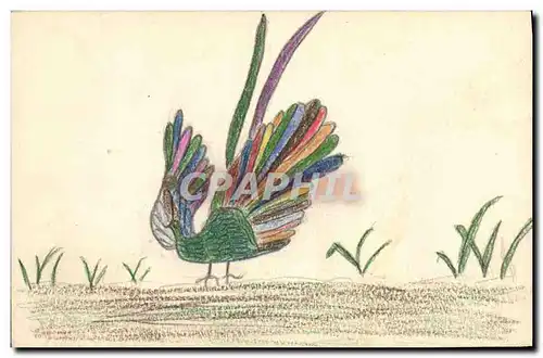 Cartes postales (dessin la main) Oiseau