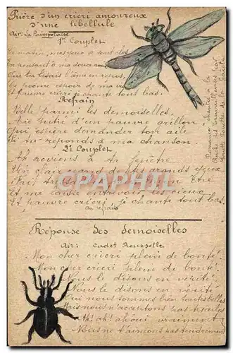 Cartes postales (dessin la main) Insectes Scarabee