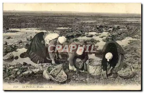 Cartes postales Peche La peche des moules TOP