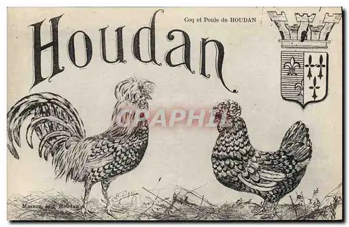 Cartes postales Coq Poule Houdan Coq et poule de Houdan