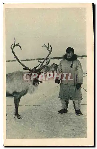 Cartes postales Polaire Un renne et son maitre