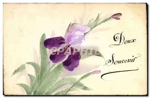 Cartes postales (dessin la main) Fleurs