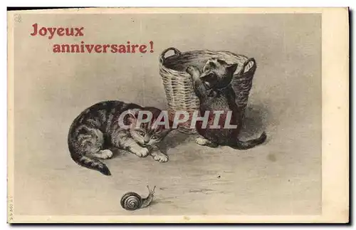 Cartes postales Escargot Chat Chats Chaton