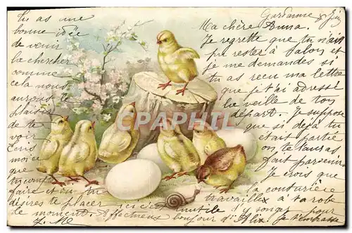 Cartes postales Escargot Poussins Oeufs