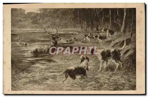 Cartes postales Chiens Chien Chasse a courre Cerf Hallali