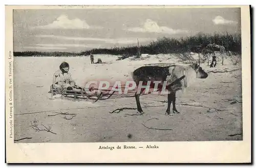 Ansichtskarte AK Polaire Pole Nord Attelage de Renne Alaska