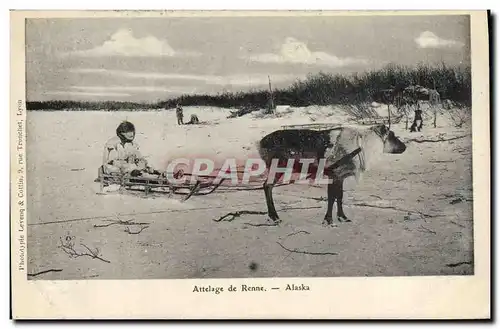 Cartes postales Polaire Pole Nord Attelage de Renne Alaska