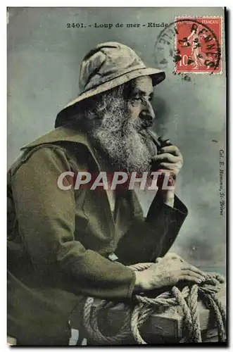Cartes postales Peche Loup de mer Etude
