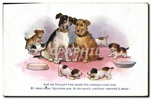 Cartes postales Chiens Chien Chiots