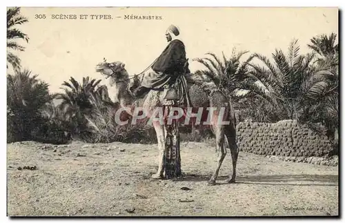 Cartes postales Militaria Meharistes Chameau