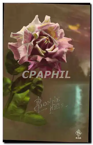 Cartes postales Fantaisie Lune Fleurs Rose