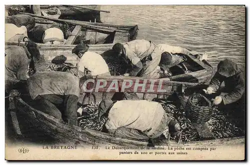 Ansichtskarte AK Peche Bretagne Le debarquement de la sardine La peche est comptee par paniers de 200 et portee a