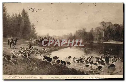 Cartes postales Chien Chiens Chasse a courre Cavaliers Chantilly Musee Conde Hallali dans l&#39etang de Sylvie e
