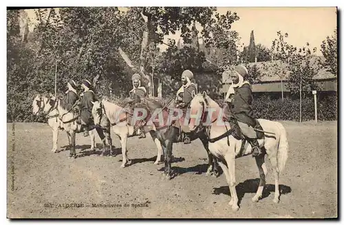 Ansichtskarte AK Militaria Algerie Manoeuvres de Spahis