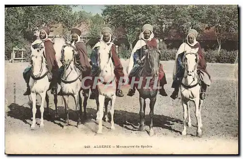 Ansichtskarte AK Militaria Algerie Manoeuvres de Spahis