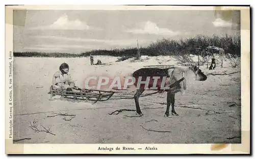 Cartes postales Polaire Attelage de renne Alaska