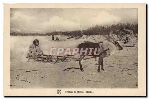 Cartes postales Polaire Attelage de renne Alaska