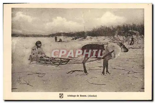 Cartes postales Polaire Attelage de renne Alaska