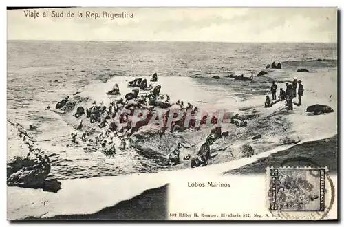 Cartes postales Polaire Viaje al Sud de la Rep Argentina Lobos Marinos Phoque