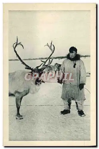 Ansichtskarte AK Polaire Le renne et son maitre