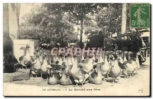 Cartes postales Folklore Auvergne Le marche aux oies