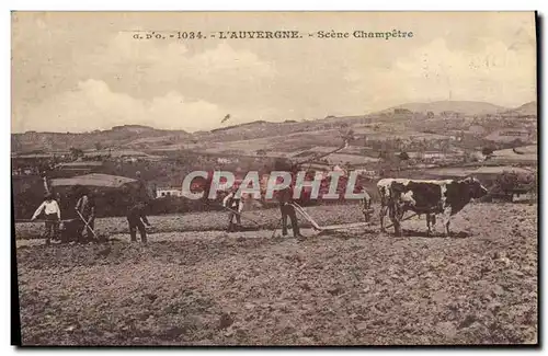 Ansichtskarte AK Folklore Auvergne Attelage Scene champetre