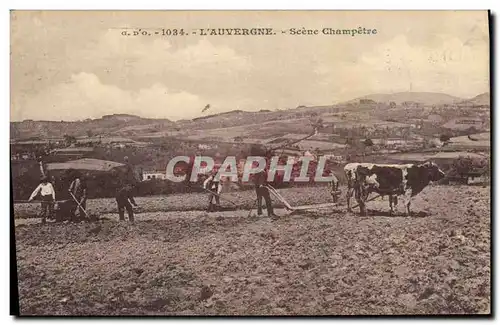 Cartes postales Folklore Auvergne Attelage Scene champetre
