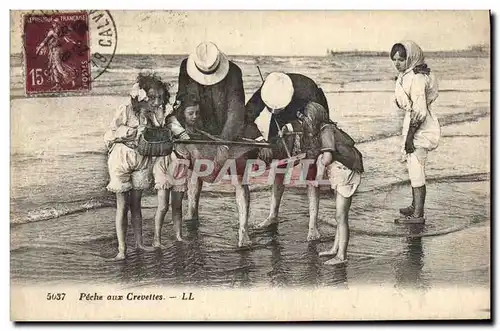 Cartes postales Peche aux crevettes