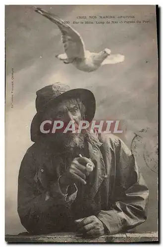 Cartes postales Peche Chez nos marins bretons Sur le Mole Loup de mer et pigeon du port