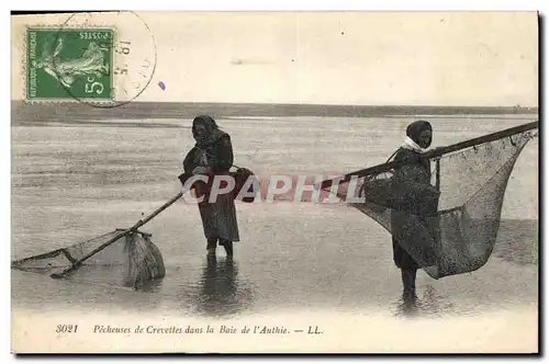 Ansichtskarte AK Peche Pecheuses de crevettes dans la baie de l&#39Authie