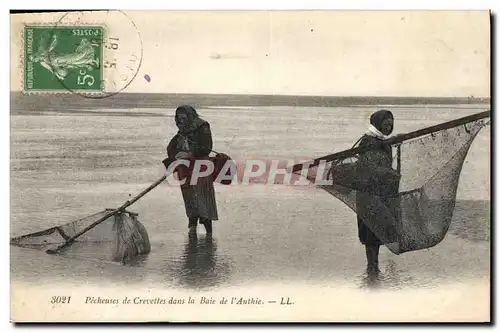 Cartes postales Peche Pecheuses de crevettes dans la baie de l&#39Authie