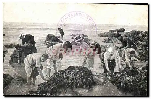 Cartes postales Peche La peche aux moules