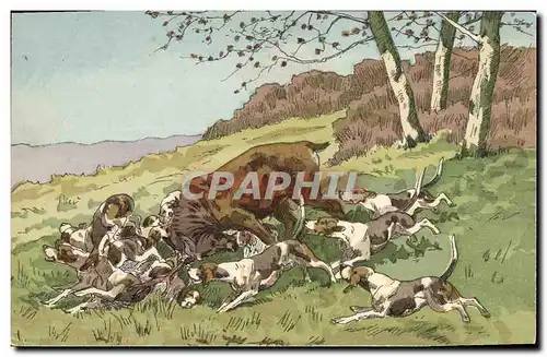 Cartes postales Chien Chiens Chasse a courre Cerf