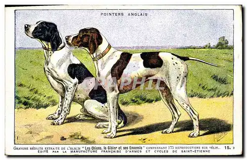 Cartes postales Chien Chiens Chasse a courre Pointers anglais
