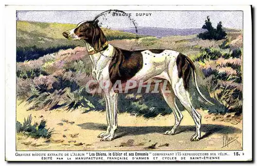 Ansichtskarte AK Chien Chiens Chasse a courre Braque Dupuy