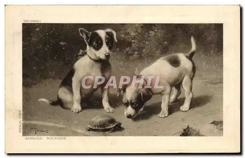 Cartes postales Chien Chiens