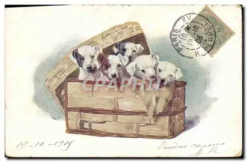 Cartes postales Chien Chiens