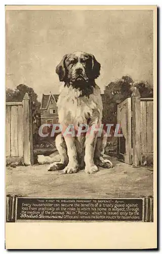 Cartes postales Chien Chiens