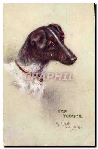 Cartes postales Chien Chiens Fox Terrier