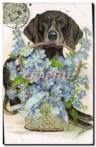 Cartes postales Chien Chiens Fleurs