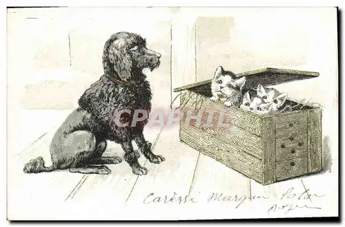 Cartes postales Chien Chiens Chats