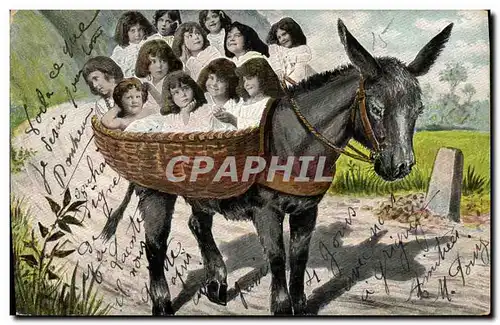 Cartes postales Fantaisie Enfant Bebe Ane Mule