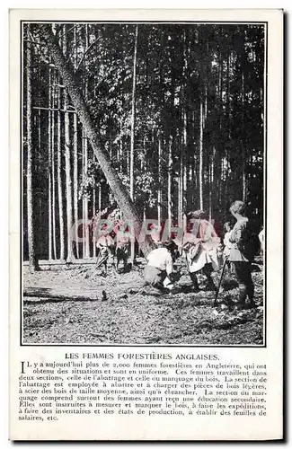 Ansichtskarte AK Les femmes forestieres anglaises