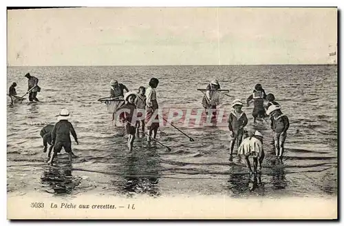 Cartes postales Peche La peche aux crevettes