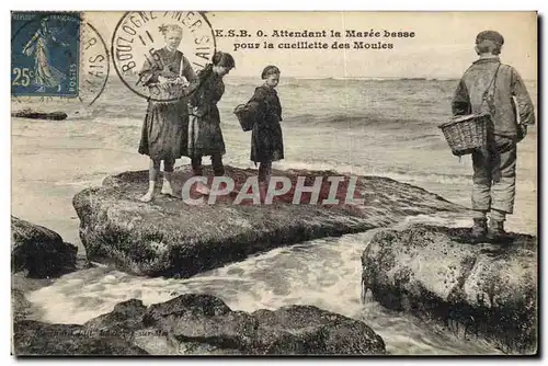 Cartes postales Peche Attendant la maree basse pour la cueillette des moules