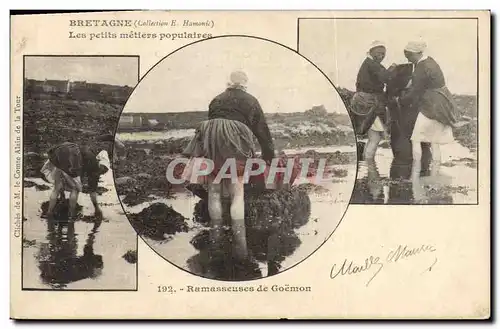 Cartes postales Peche Bretagne Ramasseuses de goemon