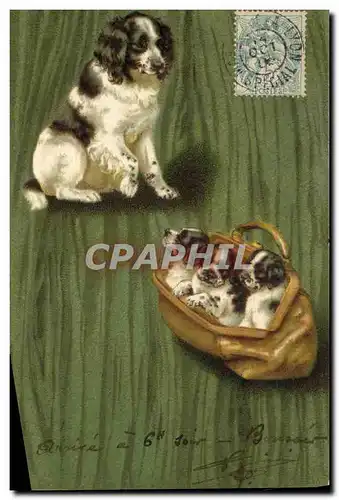 Cartes postales Chien Chiens Chiot