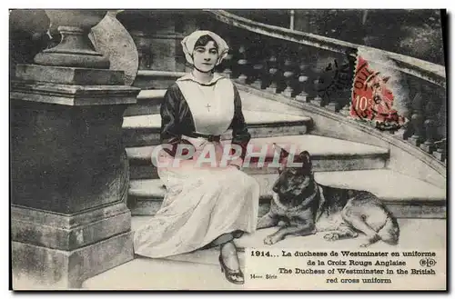Cartes postales Militaria La duchesse de Westminster en uniforme de al CRoix Rouge anglaise chien