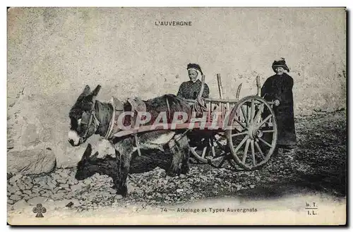 Cartes postales Folklore Auvergne Attelage Ane Mule